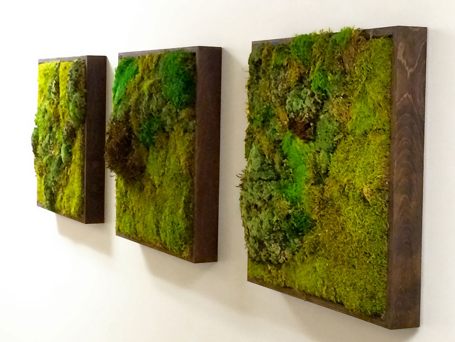 Moss-Wall-Gallery